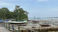 Lewat Taman Wisata Laut Labuhan, Pertamina Hulu Energi Dorong Konservasi Laut dan Ekonomi Pesisir