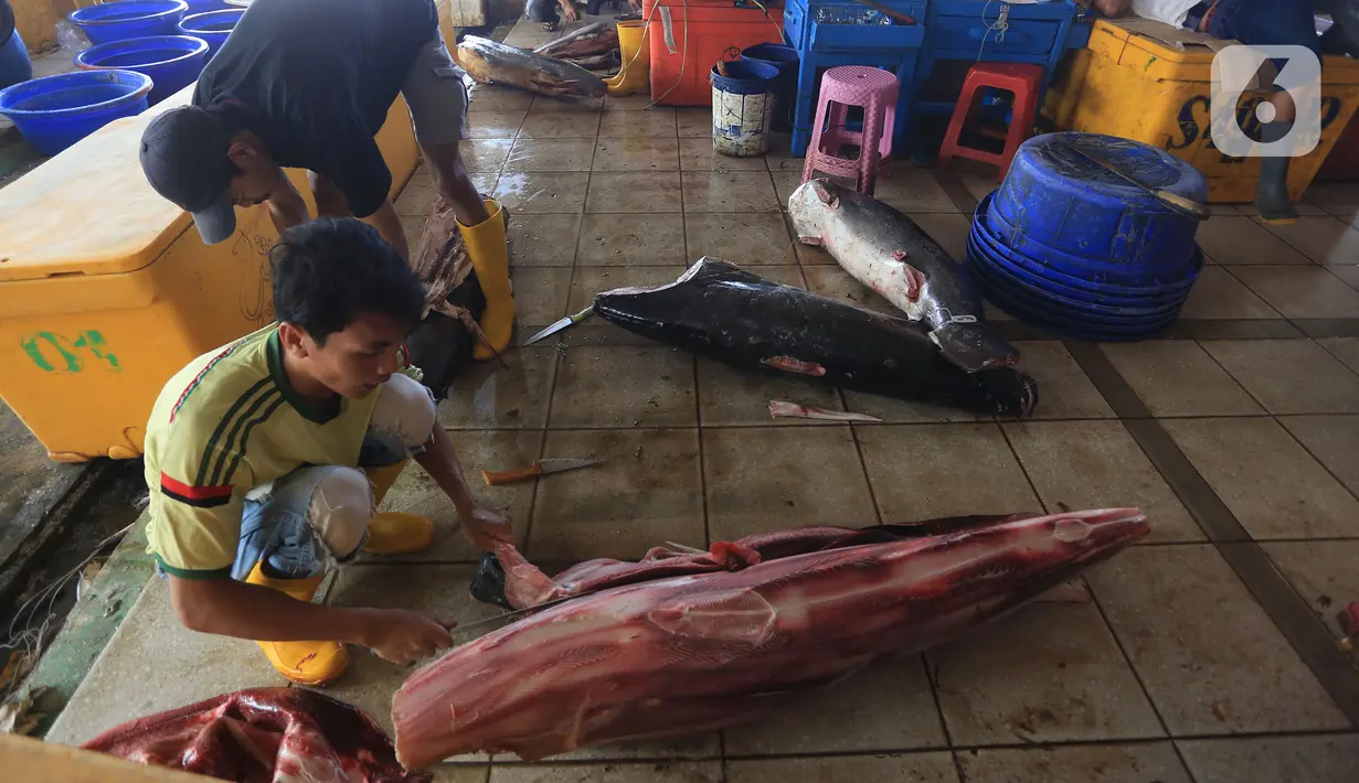 Pekerja mempersiapkan ikan di Pasar Ikan Modern Muara Baru, Jakarta, Jumat (8/10/2021). Nelayan Muara Baru menghentikan aksi mogok bongkar muat terkait penolakan PP No 85 Tahun 2021 mengenai naiknya tarif Penerimaan Negara Bukan Pajak (PNBP) sektor perikanan. (Liputan6.com/Herman Zakharia)