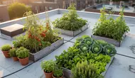 7 Ide Kebun Sayur di Dak Beton Rumah Tingkat, Panen Tanpa Halaman