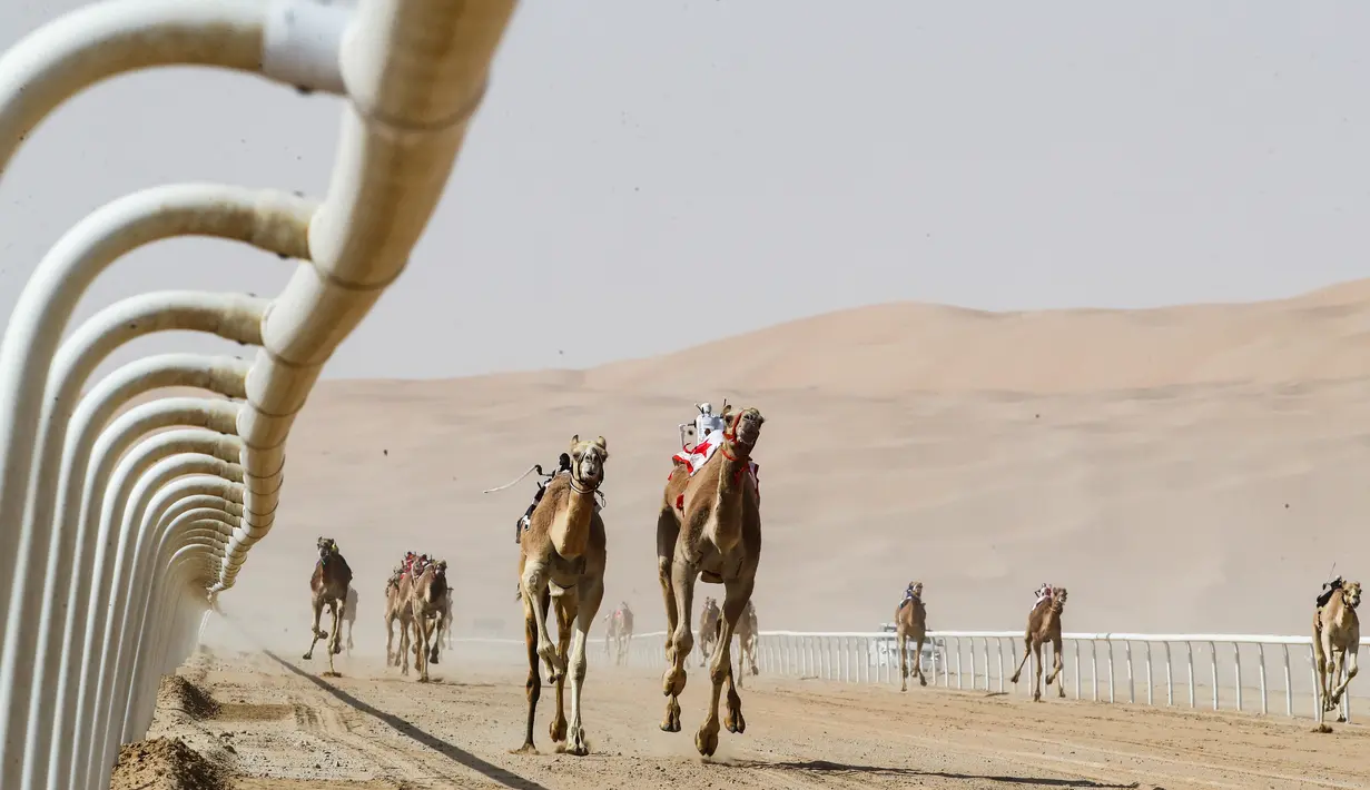 Robot joki mengendalikan unta dalam ajang balap unta saat  Festival Moreeb Dune 2019 di gurun Liwa, Abu Dhabi, Selasa (1/1). Festival ini juga menyelenggarakan berbagai balapan termasuk mobil, sepeda, elang, unta dan kuda. (KARIM SAHIB / AFP)
