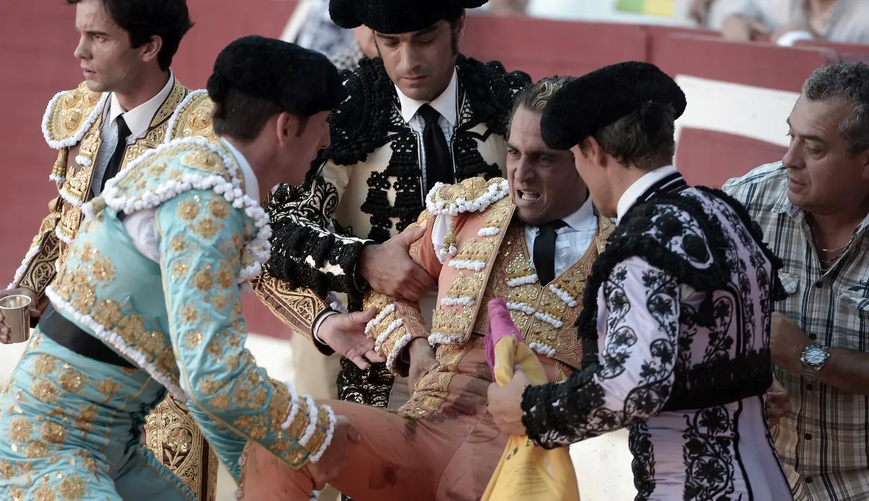 Matador asal Spanyol, Ivan Fandino dibawa keluar arena oleh rekan-rekannya usai ditanduk oleh banteng lawannya saat tampil di Prancis barat daya, Sabtu (17/6). Fandino adalah matador Spanyol kedua yang tewas di arena sejak tahun lalu. (IROZ GAIZKA/AFP)