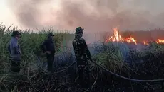 Karhutla di TN Way Kambas Capai 802 Hektare, Water Bombing Disiapkan