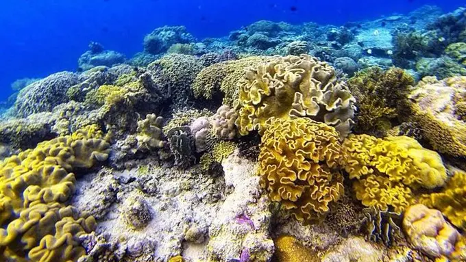 Banda Neira, Surga Tersembunyi Di Timur Indonesia