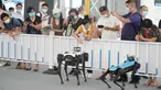 Para pengunjung berinteraksi dengan dua robot berkaki empat di area ekshibisi robot layanan dalam Pameran Perdagangan Jasa Internasional China (CIFTIS) 2020 di Beijing, ibu kota China, pada 7 September 2020. CIFTIS digelar pada 4-9 September di Beijing. (Xinhua/Cai Yang)