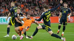 Bermain sebagai tuan rumah, Belanda menang telak 4-0 atas Skotlandia. (AP Photo/Peter Dejong)