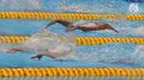 Aksi atlet Indonesia, Syuci Indriani (belakang) saat final 100 meter gaya kupu-kupu putri S14 di Aquatic Center, Jakarta, Rabu (10/10). Syuci berhasil meraih mendali perak dengan catatan waktu 1 menit 11,08 detik. (Merdeka.com/Imam Buhori)