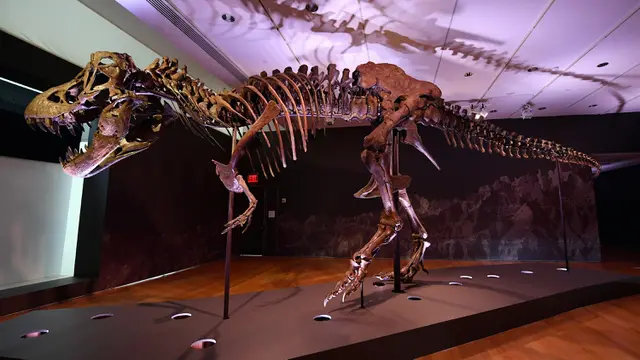 Tyrannosaurus rex atau T-Rex