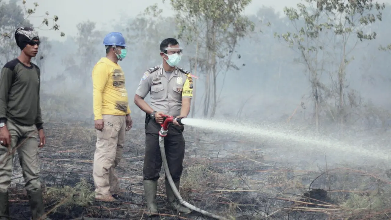 Api Kembali Berkobar di Meranti, Ratusan Hektare Lahan Menghitam