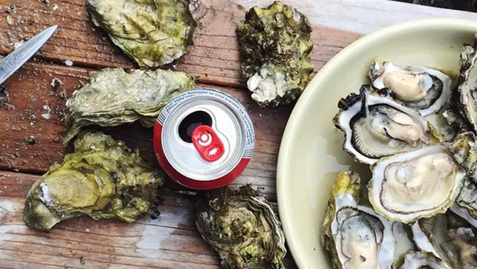 copyright by Pexels.com