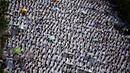 Ribuan jemaah haji melakukan salat zuhur di luar masjid Namirah di Kota Arafah, Arab Saudi (31/8). Menurut hikayat setempat, masjid ini merupakan salah satu saksi pertama kali Rasulullah melaksanakan ibadah haji. (AP Photo / Khalil Hamra)