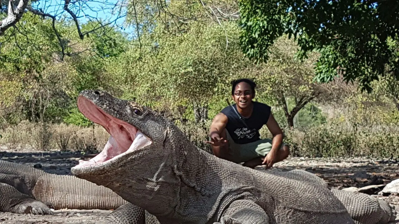 Komodo