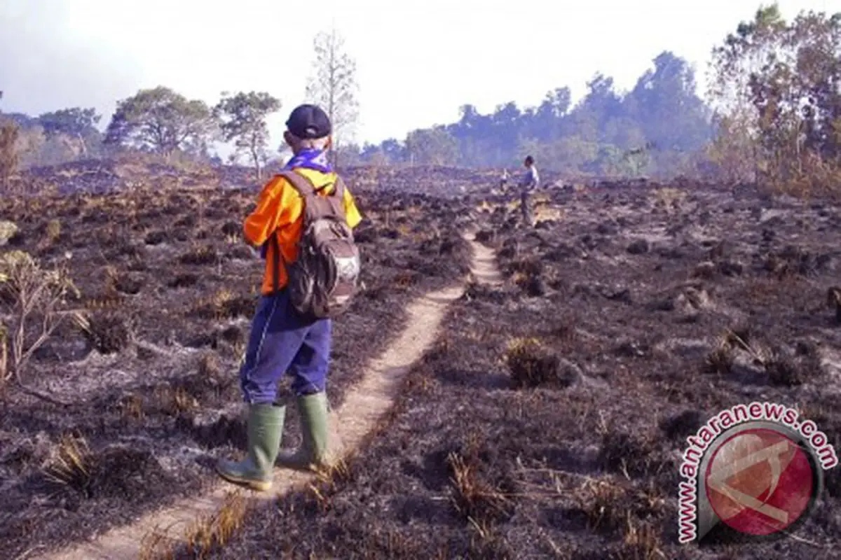 Kawasan Hutan Rinjani Masih Terbakar, 2 Tim Pemadam Dikerahkan