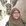Diyah Naelufar