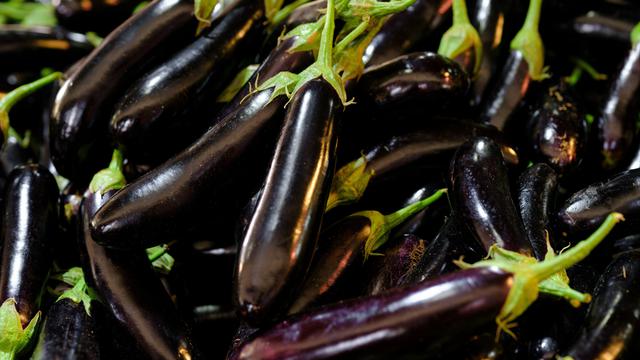 resep memasak terong ungu tips merebus mengukus