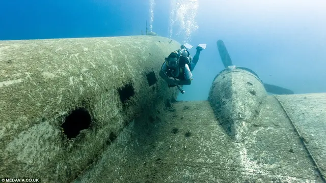 Melihat Tempat Bermain Bawah Laut dari Pesawat Perang Dunia Dua