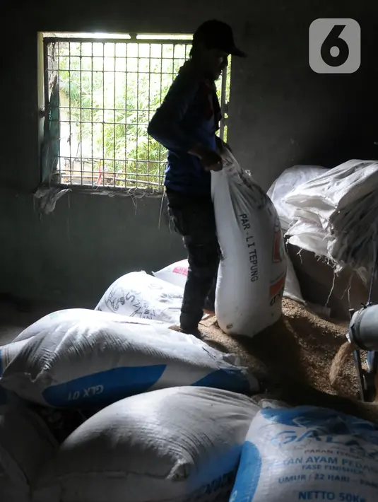 Kebijakan pemberlakuan HPP baru seiring telah rampungnya proses pengundangan Peraturan Badan Pangan Nasional (Perbadan) Nomor 6 Tahun 2023 tentang Harga Pembelian Pemerintah dan Rafaksi Harga Gabah dan Beras. (merdeka.com/Imam Buhori)