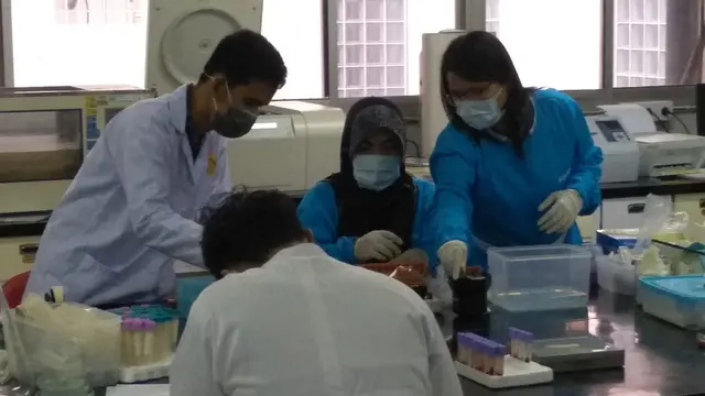 penyelidikan dengan mengumpulkan sampel bangkai babi