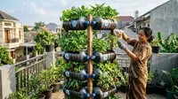 8 Ide Galon Bekas Jadi Pot Sayur Gantung, Solusi Kebun Mini Ramah Lingkungan