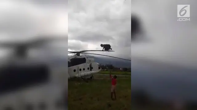 Sekelompok anak Papua di kabupaten Wamena asyik bermain ayunan dari baling-baling helikopter yang pernah dibanderol dengan harga Rp 234 miliar.