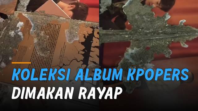 Nasib apes dan sedih dialami oleh seorang perempuan Kpopers ini karena koleksi albumnya dimakan rayap.