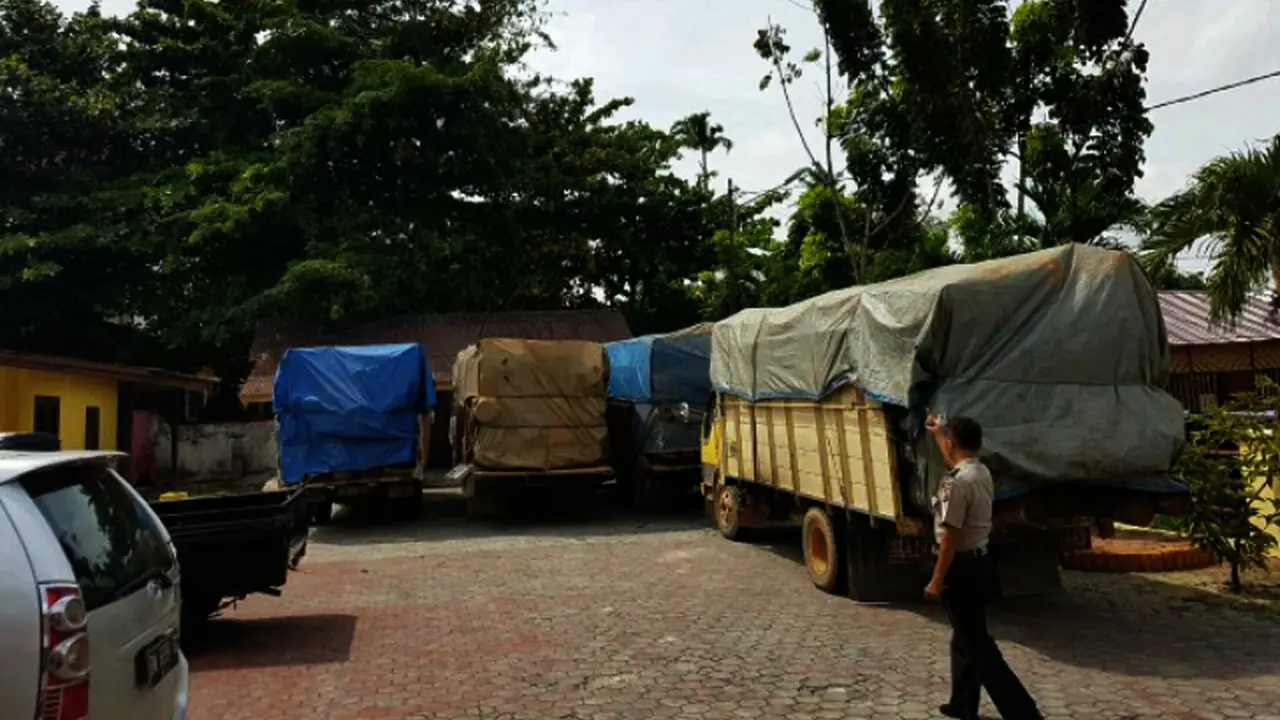 Pembalakan Liar