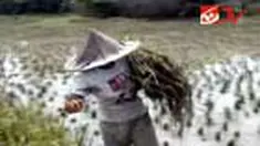 liputan6
