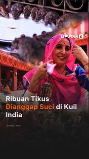 Ribuan Tikus Dianggap Suci di Kuil India
