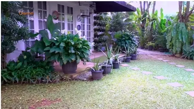 Miliki Rumah Asri, Ini 7 Potret Yuni Shara dengan Tanaman Kesayangan