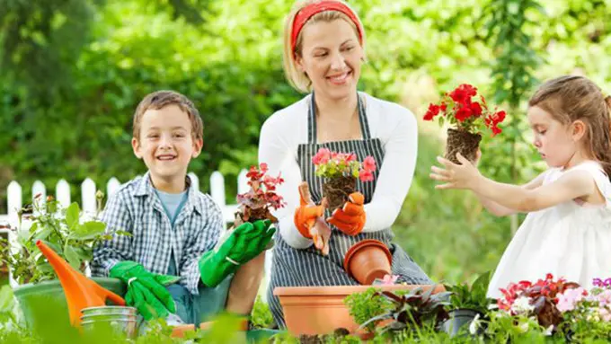 Photo: Copyright Thinkstockphotos.com