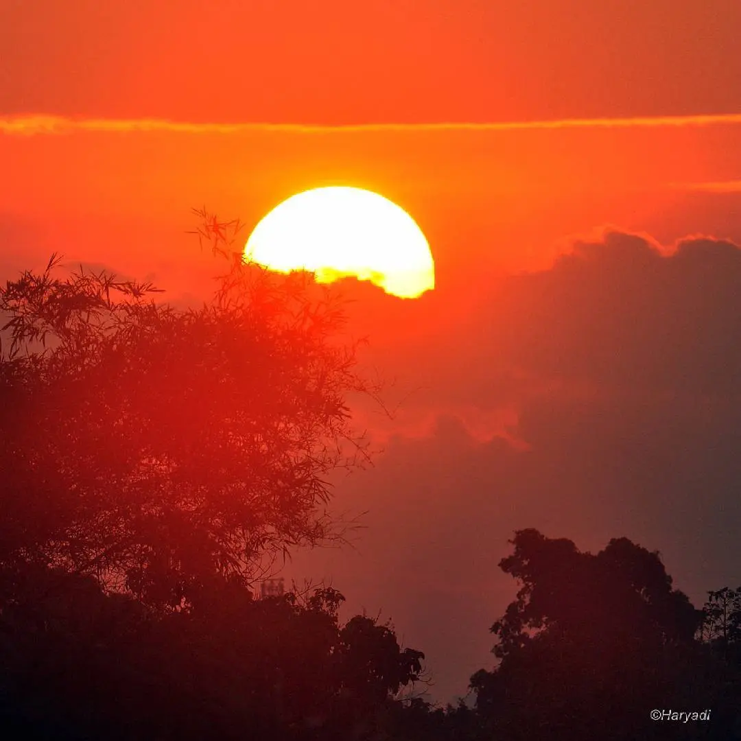 Taman Nasional Kutai, Kalimantan Timur jadi salah satu pilihan untuk menepi dari ramainya Pilkada DKI 2017. (haryadi_tnkutai/Instagram)