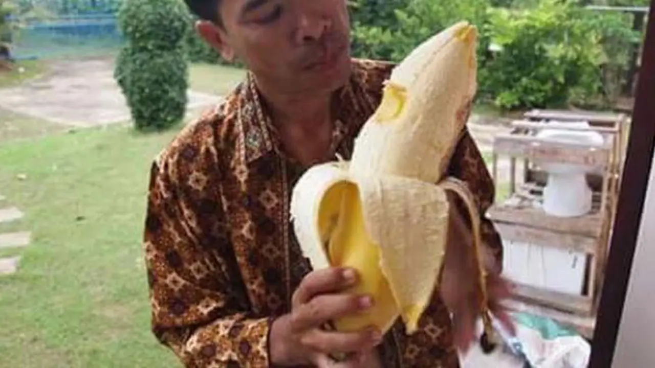Top 3: Pohon Pisang Terbesar di Dunia Ada di Papua