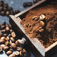 Ilustrasi/copyright shutterstock.com