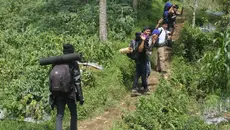 Pendaki Terjatuh ke Kawah Gunung Slamet