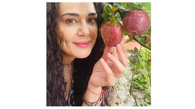 7 Potret Terbaru Preity Zinta, Tetap Awet Muda di Usia 46 Tahun