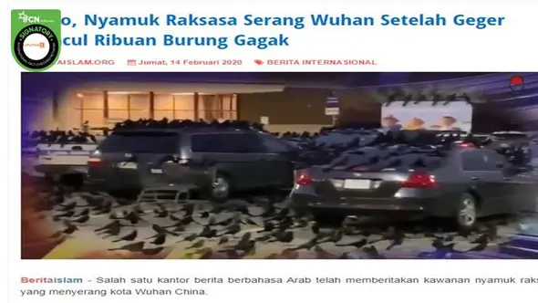 Gambar Tangkapan Layar Berita Tentang Nyamuk Raksasa