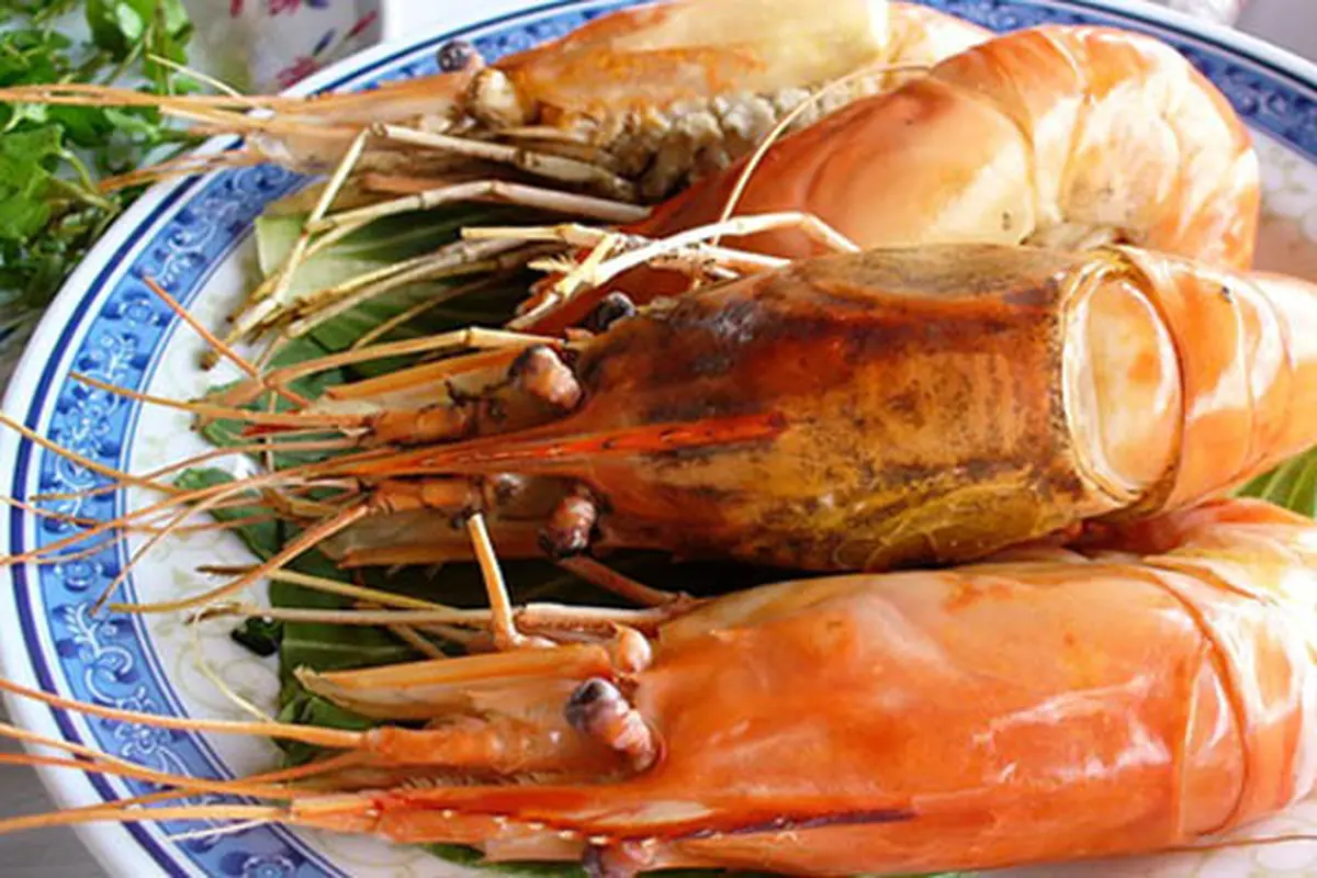 Manfaat Telur Udang Ternyata Dahsyat untuk Melebatkan Rambut