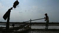Ribuan hektare tambak garam di Kabupaten Cirebon mulai terkikis lantaran abrasi yang makin meluas. Foto (Liputan6.com / Panji Prayitno)