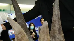Petugas Bea cukai Thailand menampilkan puluhan tanduk badak yang berhasil disita saat konferensi pers di kantor bea cukai di bandara Suvarnabhumi, Bangkok, Thailand (14/3). Tanduk badak itu diselundupkan dari Etiopia. (AP Photo/Sakchai Lalit)
