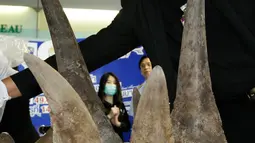 Petugas Bea cukai Thailand menampilkan puluhan tanduk badak yang berhasil disita saat konferensi pers di kantor bea cukai di bandara Suvarnabhumi, Bangkok, Thailand (14/3). Tanduk badak itu diselundupkan dari Etiopia. (AP Photo/Sakchai Lalit)