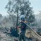 Petugas gabungan di Kabupaten Bengkalis berusaha mendinginkan kebakaran lahan agar tidak menimbulkan api lagi. (Liputan6.com/M Syukur)