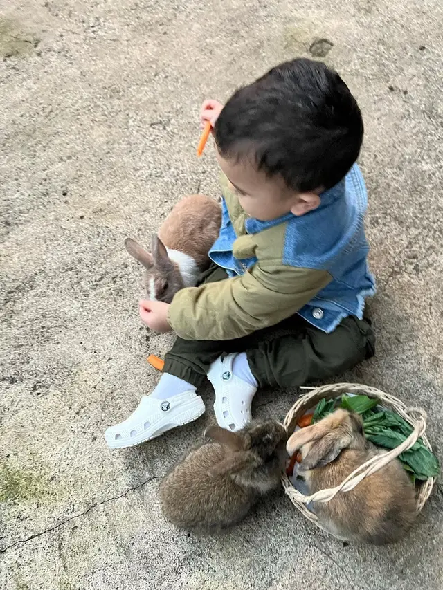 Ukkasya Muhammad Syahki main bareng kelinci.