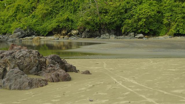 Taman Nasional Meru Betiri