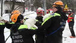 Petugas dari vigili del Fuoco menggendong tiga anak anjing yang berhasil selamat dari reruntuhan Hotel Rigopiano di Farindola, Italia (23/1). Akibatnya, hotel tertimbun longsoran salju dan masih menyisakan korban jiwa. (Fabio Gatto/ Vigili Del Fuoco/ AFP)