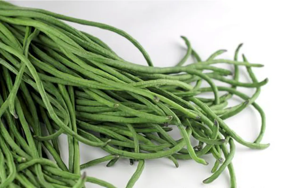 kacang panjang