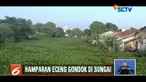 Ribuan eceng gondok penuhi Sungai Pisang Batu, Bekasi, sehingga menghambat aliran sungai dan menyebabkan banjir.