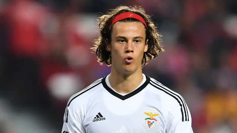 Kiper muda Benfica, Mile Svilar