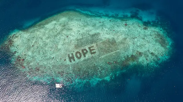 Komitmen Pulihkan Keindahan Laut, Sheba Gandeng Komunitas untuk Restorasi Terumbu Karang di Bontosua