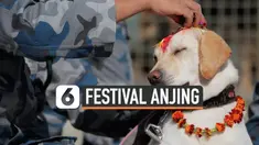 Festival Kukur Tihar merupakan perayaan umat Hindu di Nepal yang memberi penghormatan kepada anjing. Pada perayaan ini anjing didandani, diberi makan, dimanja seharian penuh. Bahkan sampai disembah karena dianggap binatang suci.