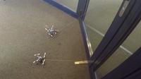 Drone lebah yang bisa membuka pintu dengan bobot 40 kali lebih berat. (Foto: Business Insider)