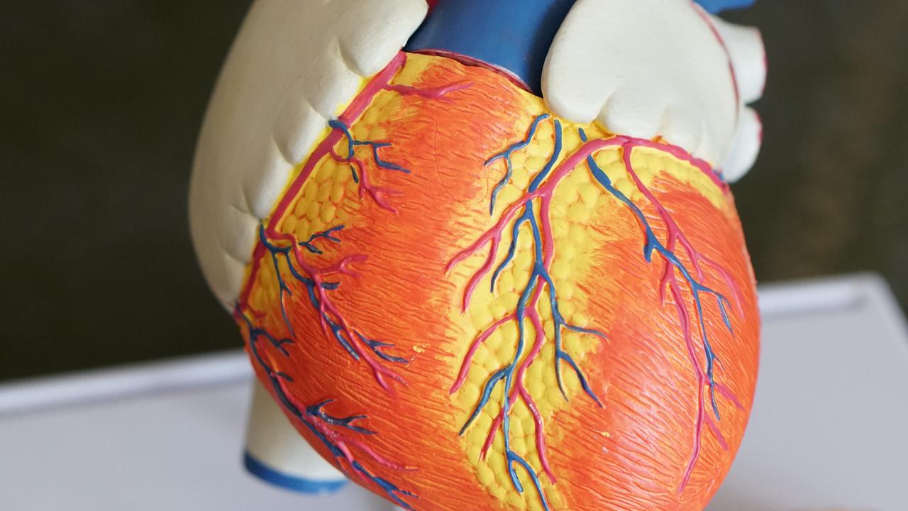 Ilustrasi jantung